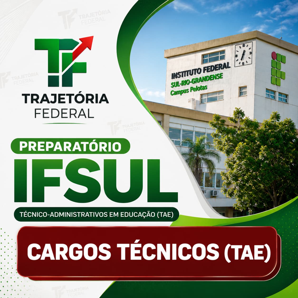 Preparatório IFSUL - Técnico-Administrativos em Educação (TAE) - LEGISLAÇÃO